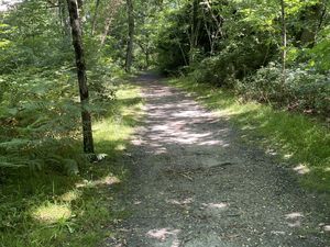 De la nature avant tout