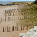 PIEUX SUR LA PLAGE ECUISSIERE OLERON