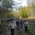 L'ACCOB a organisé une petite randonnée dans les bois du bager