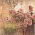 COMPOSITIONS DE FLEURS