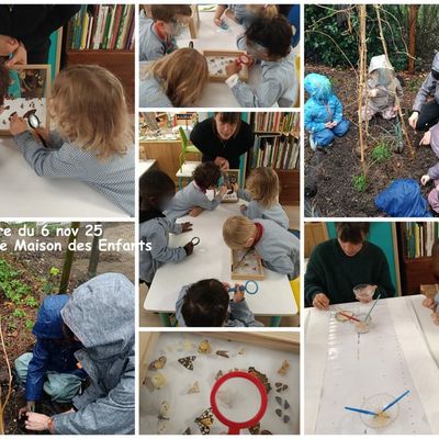 atelier permaculture 6 nov 2025 pour la classe de Maison des Enfants