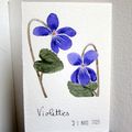 1 jour 1 fleur