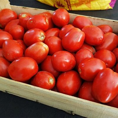 Des conserves de tomates pour l'hiver