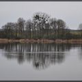 Reflets sur l'étang de Parroy et sur le canal