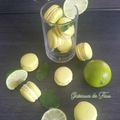 Rencontre du macaron et du mojito... Naissance du macajito!