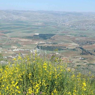 Au coeur de la Bekaa...