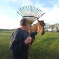 Le cheval de derrière chez Papy et Babou