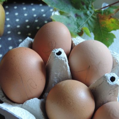 Simplement Merci! Joie de passer un après-midi à
