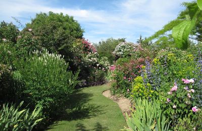 Le Jardin de Morailles et sa collection de roses anciennes, à visiter à Pithiviers le Vieil dans le Loiret...