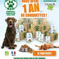 1 an de croquettes Nestor Bio à gagner !