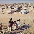 Le CIRAC très préoccupé par la persistance de graves violations des droits de l'homme dans les camps de Tindouf