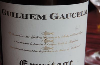 Ermitage du pic saint loup 2011 pic st loup "guilhem gaucelm"