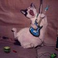 il et tro cool le chat rock'n'roll