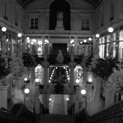 Le passage Pommeraye (Nantes)