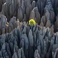 Madagascar, une île de beauté