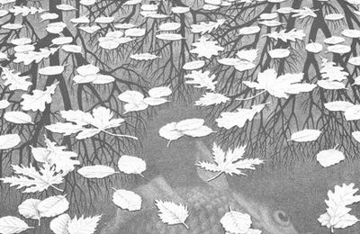 M.C.Escher et les poissons