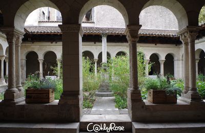 CHEZ CATHY, SUITE DE SA VISITE DE NOTRE BELLE VILLE DE VIENNE...