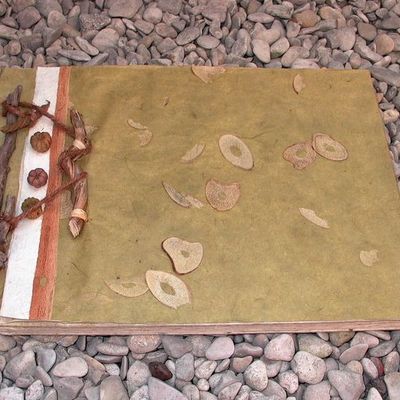 Album-photos branches