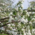 La nature dans toute sa splendeur