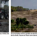 Incendies Gironde