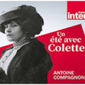 Antoine Compagnon, Un été avec Colette