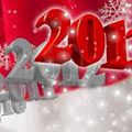 Meilleurs Voeux 2013