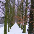 Le parc de Rouelles sous la neige