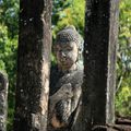 Sri Lanka Polonnaruwa - Anuradhapura - Mihintale - Uppuveli 