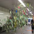 七夕　Tanabata