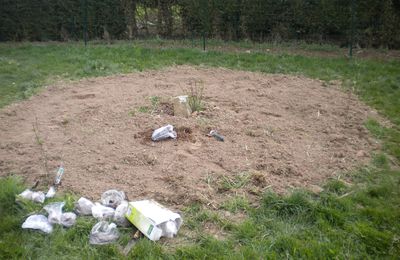 Remplacement du rond de prairie fleurie près du bassin par un massif de vivaces.