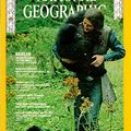 Il y a 30 ans, Dian Fossey était assassinée