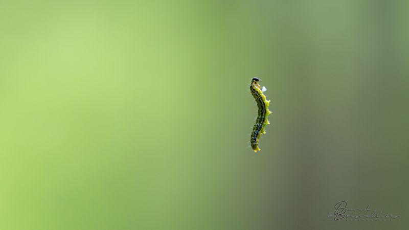 Diaporama des photographies exposées.