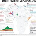 Le djihadisme sahélien, ses causes géocivilisationnelles passées et sa prolifération présente, par Alexandre del Valle.