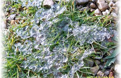 glace du jardin