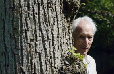 Henry Bauchau (1913 – 2012) : L’escalier bleu
