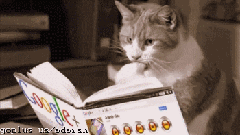 BLOG ANNIVERSAIRE