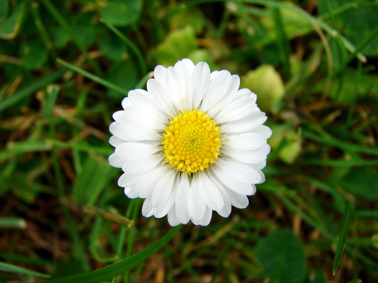 2010 259a