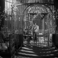 La Cage d'or (Cage of Gold) (1950) de Basil Dearden