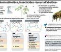 Le Conseil d'Etat valide le retour temporaire des néonicotinoïdes, ces insecticides "tueurs d'abeilles"