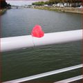 Un coeur solitaire