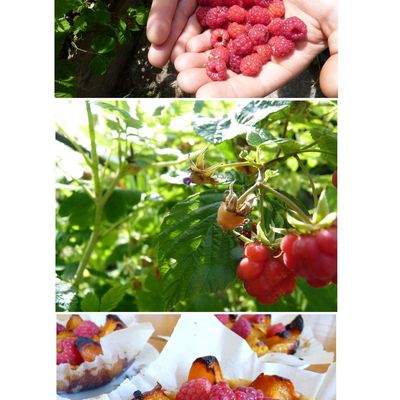 Le temps d'une pause au jardin