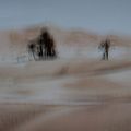 Dunes mouvantes