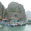 Baie de Ha Long - 4 - Ile de Cat Ba