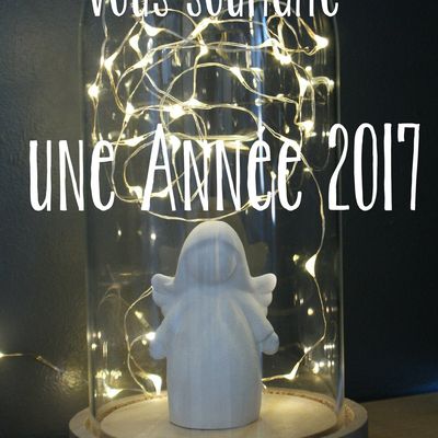 Belle Année 2017