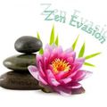 Echange ATC Zen Evasion 13 / 14