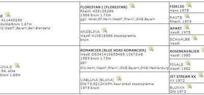 Origines Why Bluna KWPN