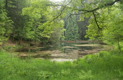 BALADE EN PLEINE NATURE A LA JONCHERE SAINT MAURICE (87)