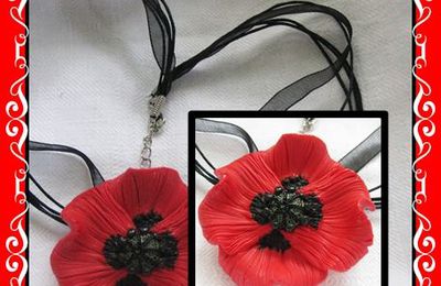 Un suberbe coquelicot