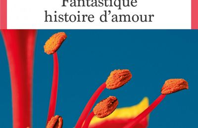  "Fantastique histoire d’amour : fantastique Sophie Divry