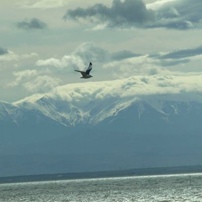 AVRIL 2014 - PORT LEUCATE